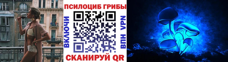 Галлюциногенные грибы Magic Shrooms закладка Кадников